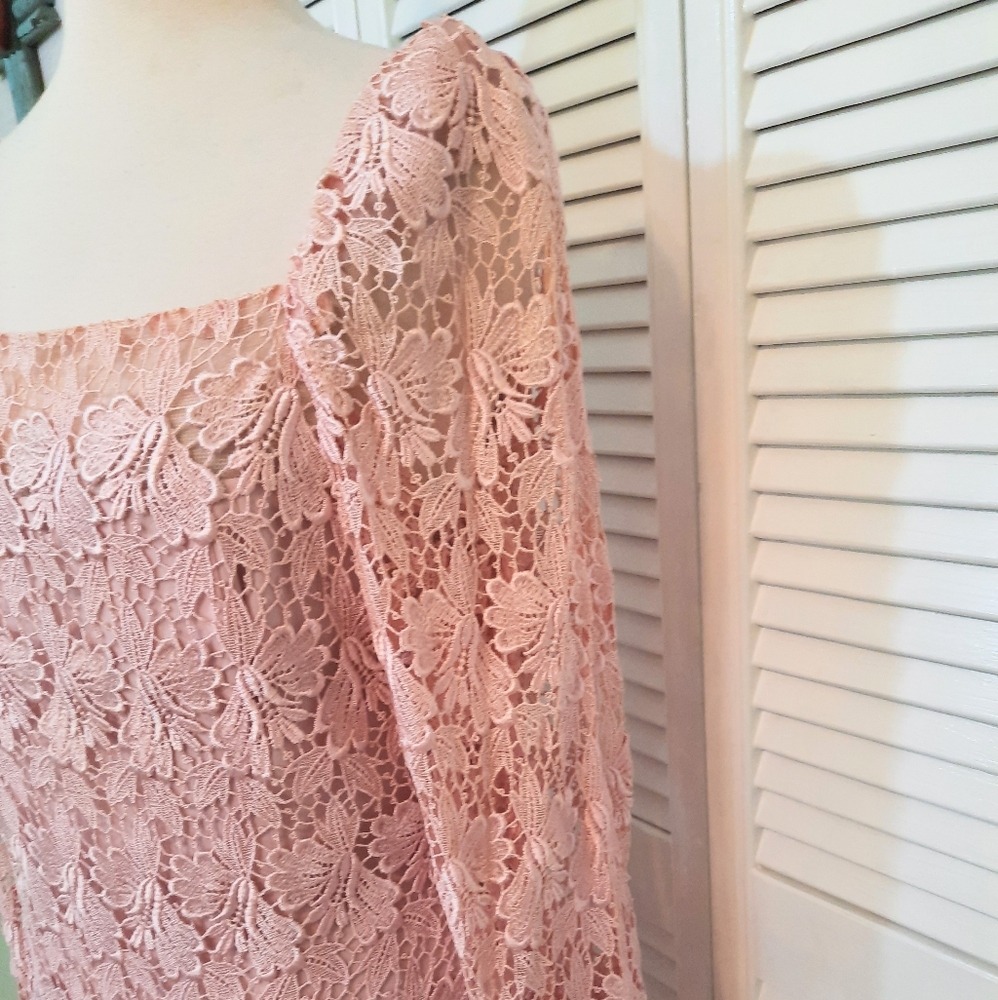 RARE VINTAGE union made blush pink lace maxi pleated dress sz 12 - Picture 6 of 9